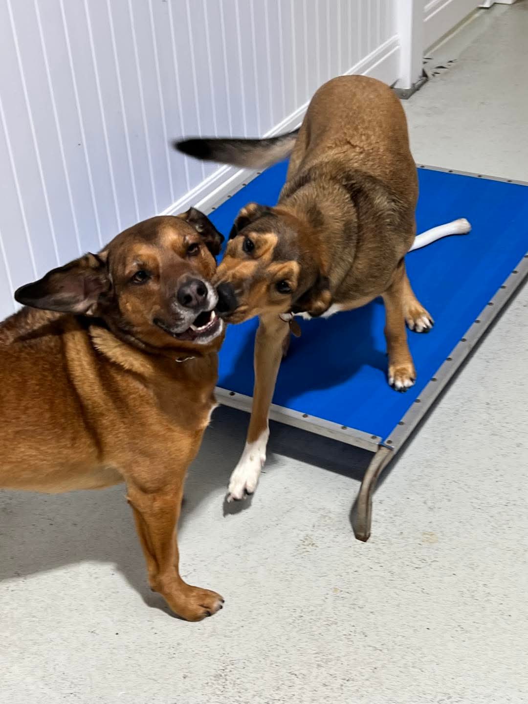 School Holiday Pass Special