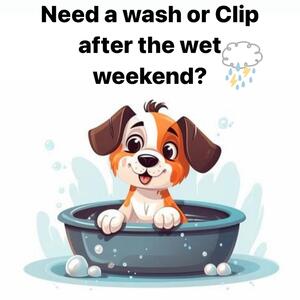 This weekend is going to be a wet one! Freshen your pooch up with a wash or clip on Monday! Email or call us now as limited spaces are available! 
📞 02 9939 8899. 

- [ ] #scruffysdogs #scruffysdogsofinstagram #scruffyssquad #scruffysdoggydaycare #scruffys #scruffyspups #dogsofthenorthernbeaches #northernbeachesdogs #northernbeacheslocal #ilovemydog #weloveourjob #dogoftheday #doglovers #brookvale #dogsofsydney #dogsofinstagram #howmuchfuncanoneplacebe #wherefriendshipsaremade #wheremannersaretaught #daycare #doglover #dogphotography