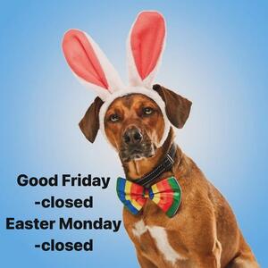 We will be closed this Good Friday and Easter Monday, and will reopen as normal on Tuesday 2nd April. 
We wish you all a wonderful long weekend with your pooches and remind you to keep the chocolate treats and feasts out of the reach of your curious canines! 

Happy Easter from us to you. 🐣 

- [ ] #scruffysdogs #scruffysdogsofinstagram #scruffyssquad #scruffysdoggydaycare #scruffys #scruffyspups #dogsofthenorthernbeaches #northernbeachesdogs #northernbeacheslocal #ilovemydog #weloveourjob #dogoftheday #doglovers #brookvale #dogsofsydney #dogsofinstagram #howmuchfuncanoneplacebe #wherefriendshipsaremade #wheremannersaretaught #daycare #doglover #dogphotography