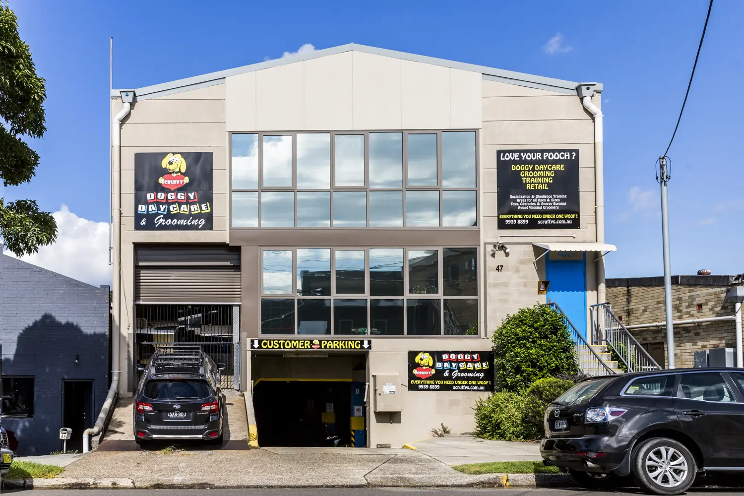 Scruffy's daycare outlet