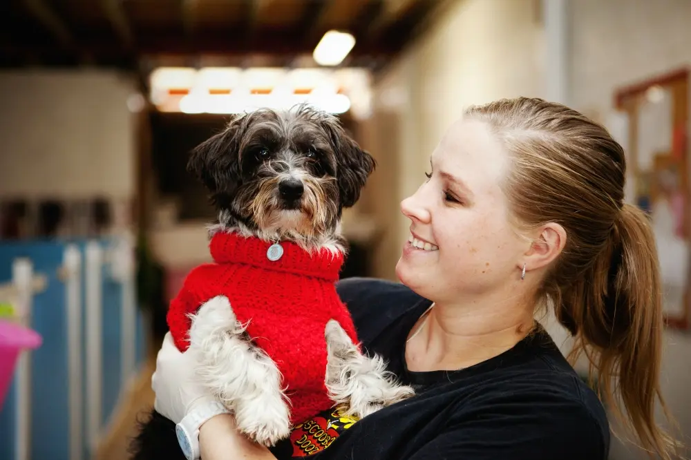 Scruffy's outlet doggy daycare