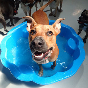 Water Play in Summer
